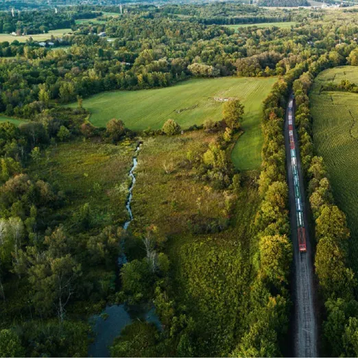 Die Bahn ist Grün